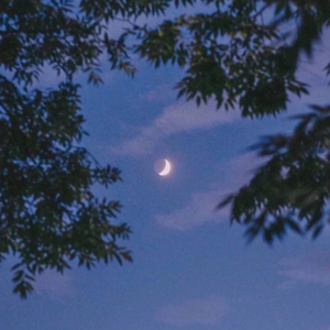 日本三级片黄色射精官
